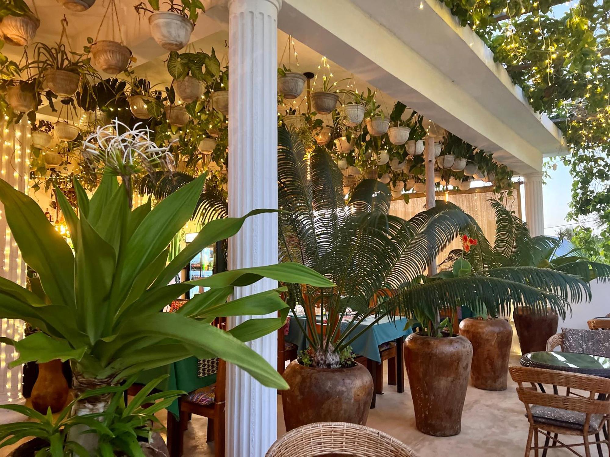 Gadea Boutique Hotel& Gadea Garden Italian Restaurant (adults Only) Aparthotel 2*