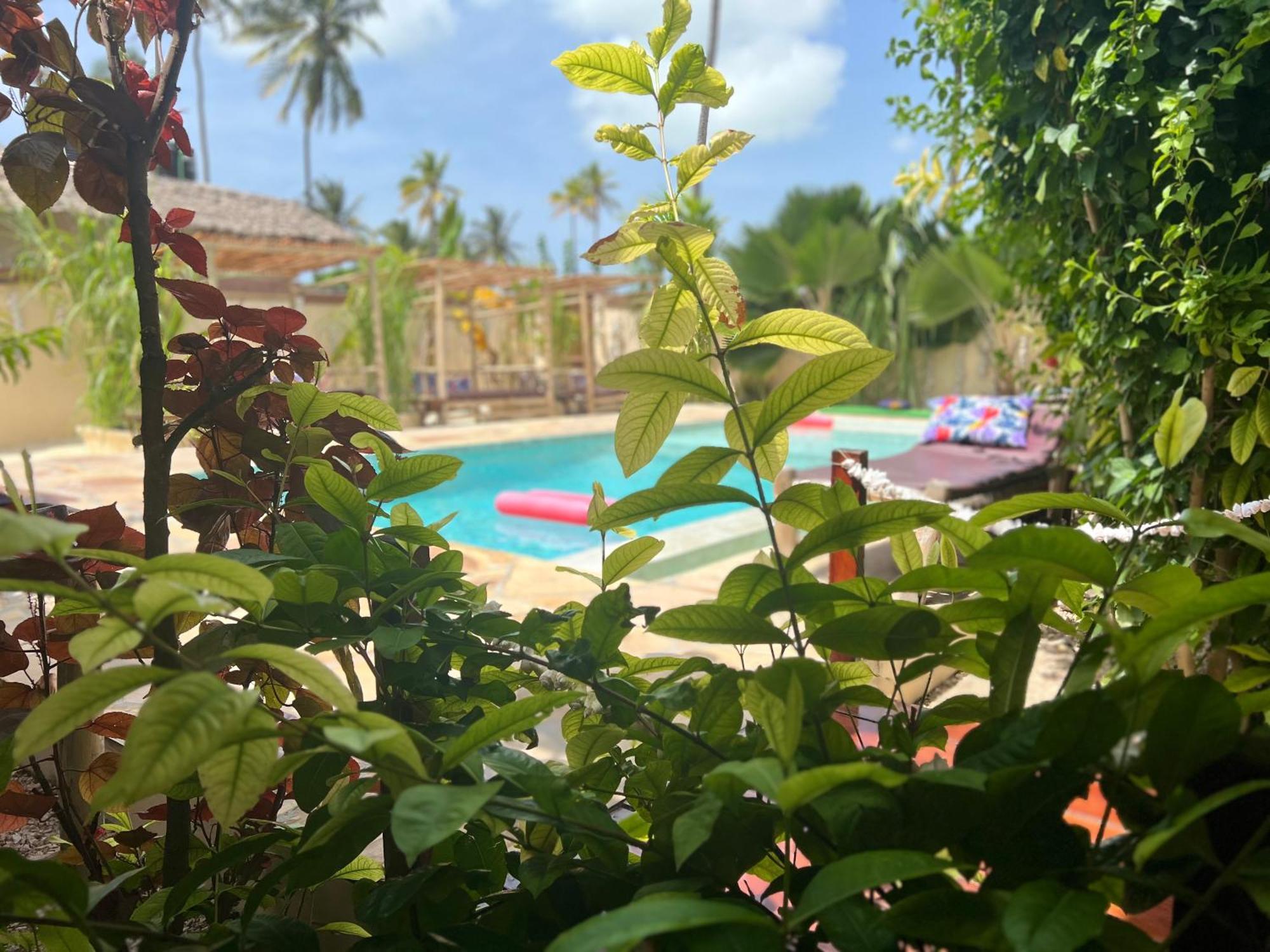 Gadea Boutique Hotel& Gadea Garden Italian Restaurant (adults Only) Aparthotel 2*