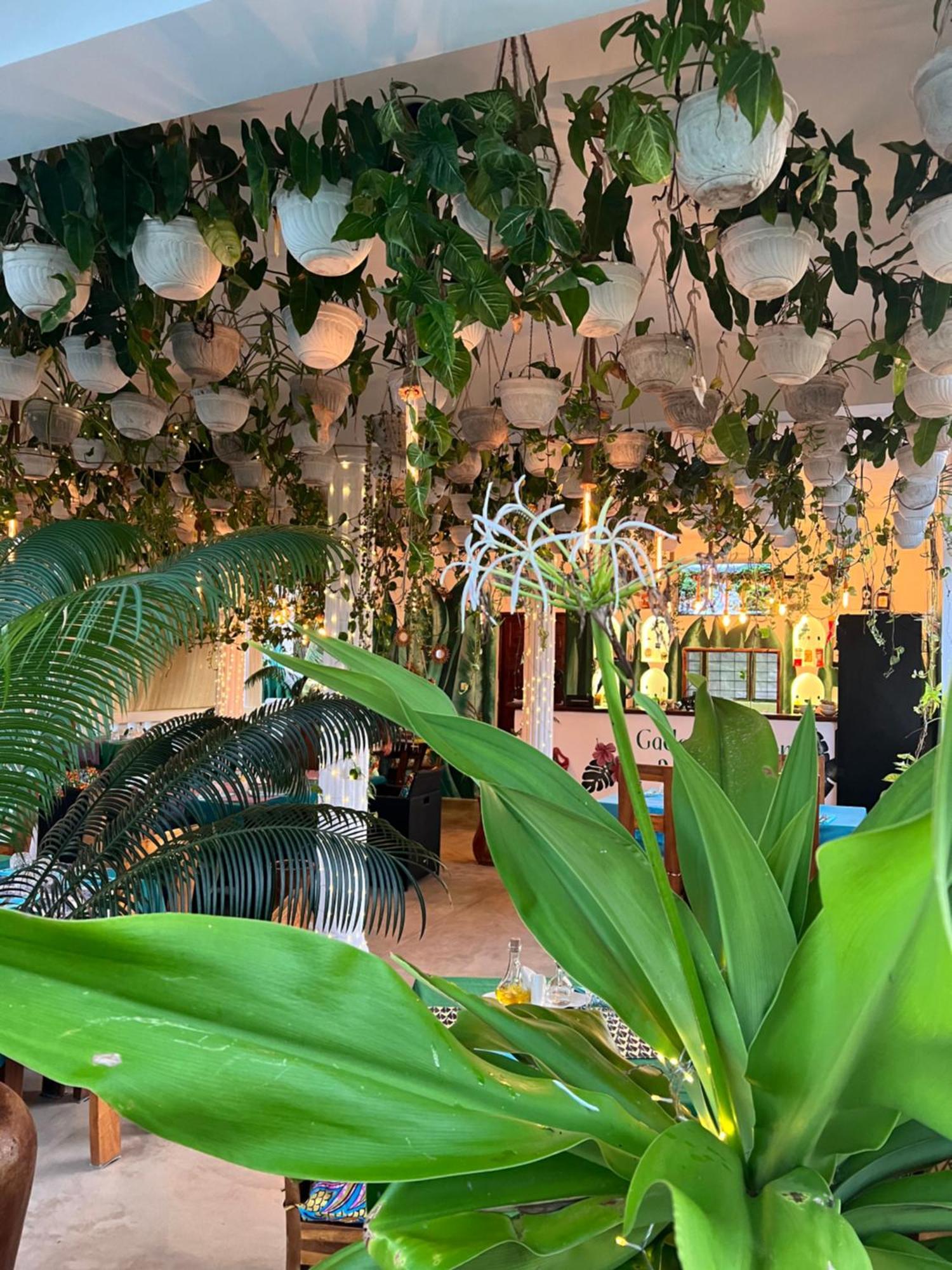 Hotel de apartamente Gadea Boutique Hotel& Gadea Garden Italian Restaurant (adults Only)